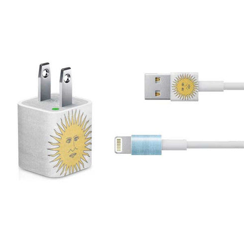 Argentina Flag Distressed iPhone Charger (5W USB) Skin